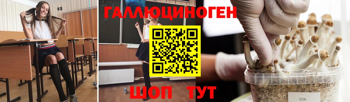 Шелехов  Псилоцибиновые грибы прущие грибы  как найти наркотики  Вход с VPN 